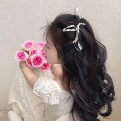 小菊的春天