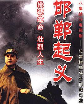 谎言二十年 封面图